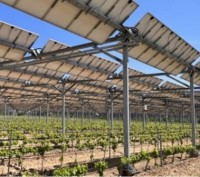 Agrivoltaiku brzdí zatím legislativa a vysoké ceny panelů